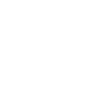 Calendario Coaching Web